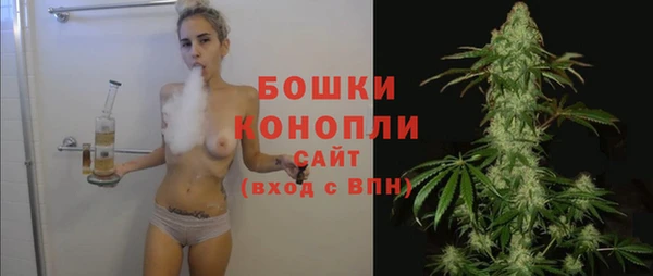 дурь Дмитриев