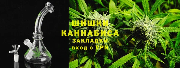 PSILOCYBIN Ельня
