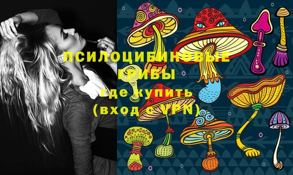 дурь Дмитриев