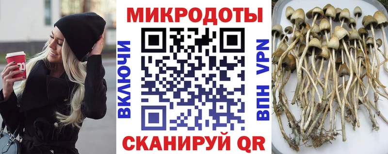Псилоцибиновые грибы прущие грибы Похвистнево
